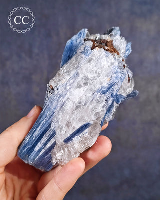 Blue Kyanite in Quartz #4