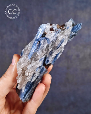 Blue Kyanite in Quartz #4