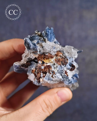 Blue Kyanite in Quartz #4