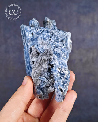Blue Kyanite in Quartz #5