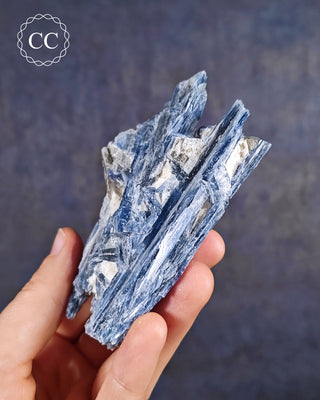 Blue Kyanite in Quartz #5