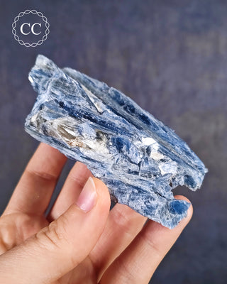 Blue Kyanite in Quartz #5