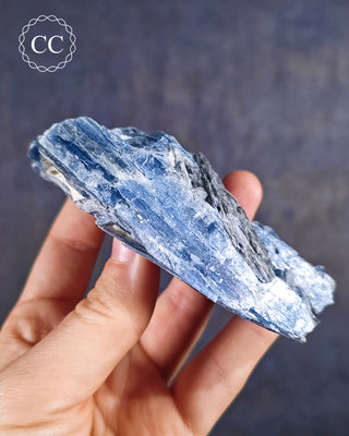 Blue Kyanite in Quartz #5