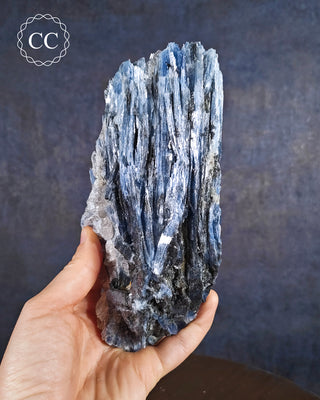 Blue Kyanite in Quartz #1