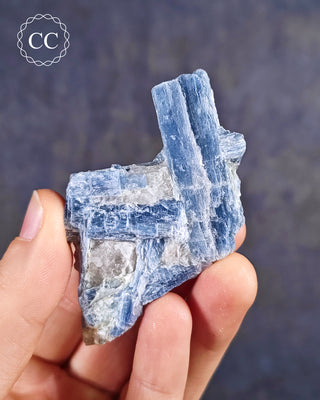 Blue Kyanite in Quartz from Brazil in hand