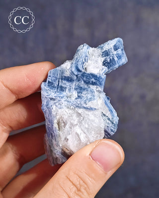 Blue Kyanite & Quartz #6