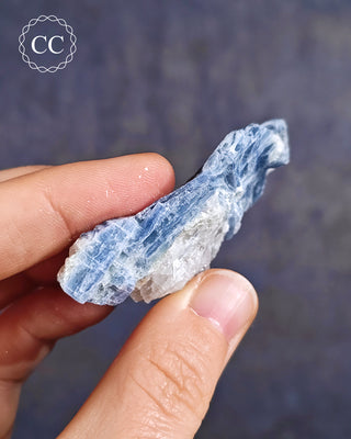 Blue Kyanite & Quartz #6
