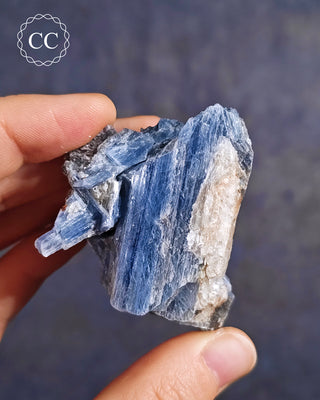 Blue Kyanite in Quartz from Brazil in hand