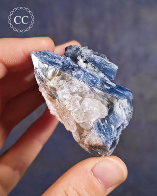 Blue Kyanite & Quartz #7