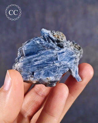 Blue Kyanite & Quartz #7