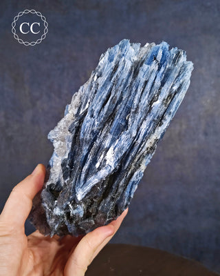 Blue Kyanite in Quartz from Brazil