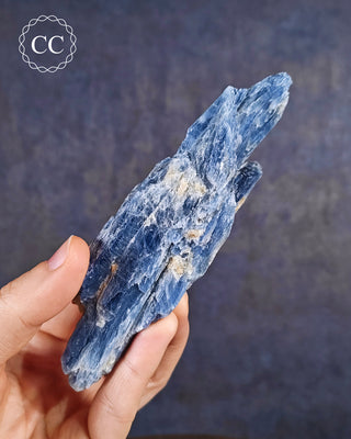Blue Kyanite in Quartz #8