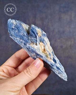 Blue Kyanite in Quartz #8