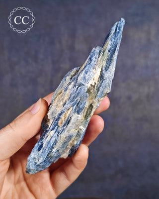 Blue Kyanite in Quartz #8