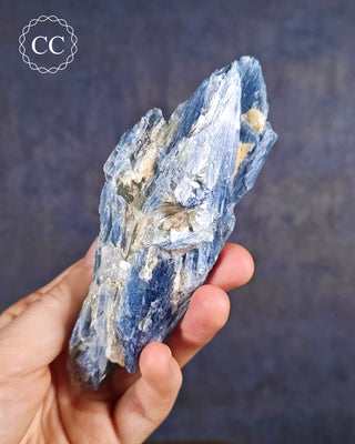 Blue Kyanite in Quartz #8