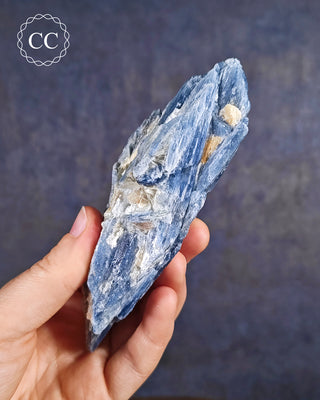 Blue Kyanite in Quartz #8