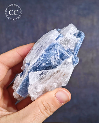 Blue Kyanite in Quartz #9