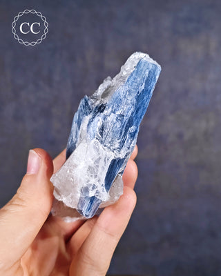 Blue Kyanite in Quartz #9