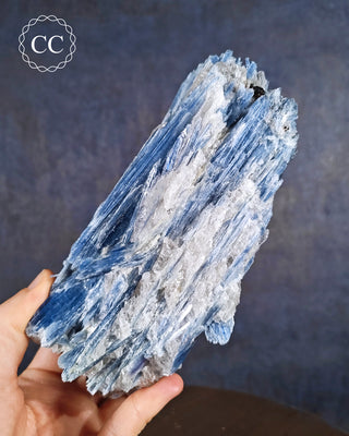 Blue Kyanite in Quartz #1