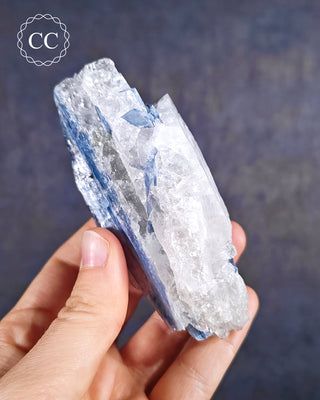 Blue Kyanite in Quartz #9