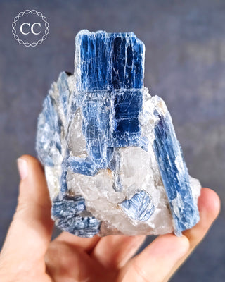 Blue Kyanite in Quartz #10