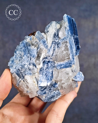 Blue Kyanite in Quartz #10