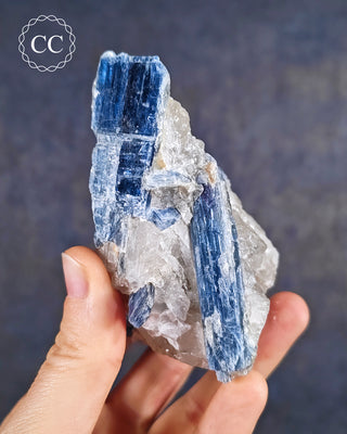 Blue Kyanite in Quartz #10