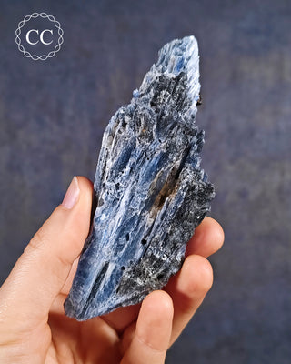 Blue Kyanite in Quartz from Brazil in hand