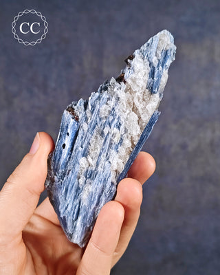 Blue Kyanite in Quartz #12
