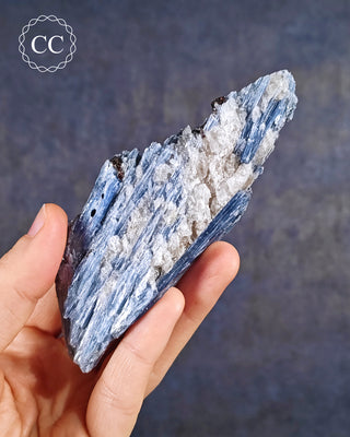 Blue Kyanite in Quartz #12