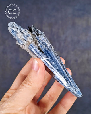 Blue Kyanite in Quartz #12