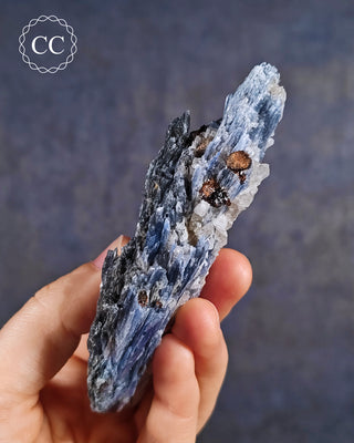 Blue Kyanite in Quartz #12