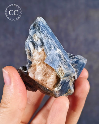 Blue Kyanite in Quartz #13