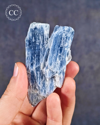 Blue Kyanite in Quartz from Brazil in hand