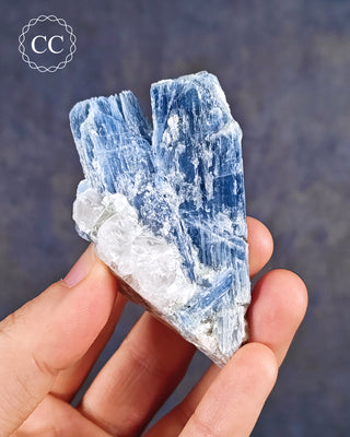 Blue Kyanite in Quartz #15