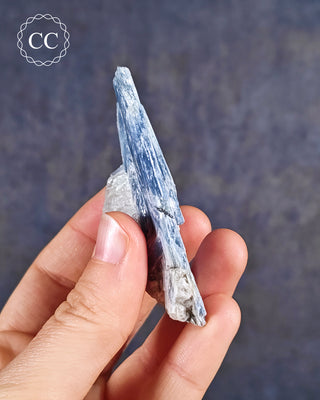 Blue Kyanite in Quartz #15