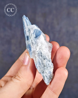 Blue Kyanite in Quartz #15