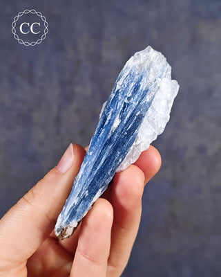 Blue Kyanite in Quartz from Brazil in hand