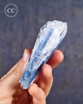 Blue Kyanite in Quartz #15