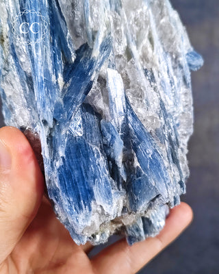 Blue Kyanite in Quartz #1