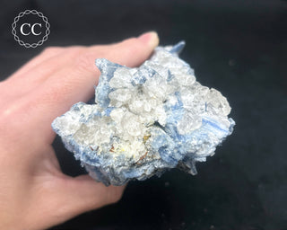 Blue Kyanite in Quartz #1