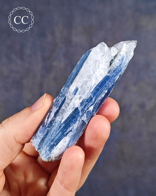 Blue Kyanite in Quartz #15