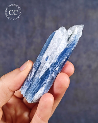 Blue Kyanite in Quartz #15