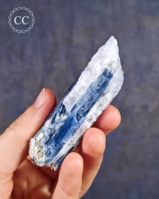 Blue Kyanite in Quartz #15