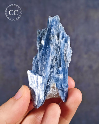 Blue Kyanite in Quartz from Brazil in hand