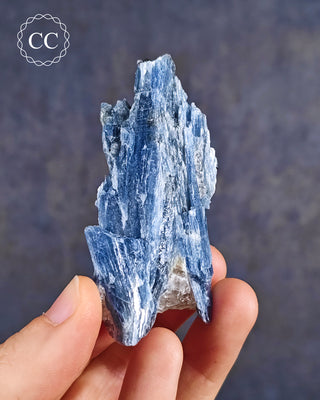 Blue Kyanite in Quartz #16