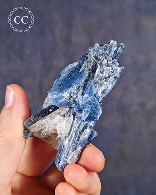 Blue Kyanite in Quartz #16