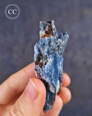 Blue Kyanite in Quartz #16