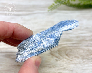 Blue Kyanite #10