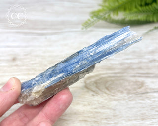 Blue Kyanite & Quartz #1